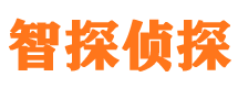 东平市侦探调查公司